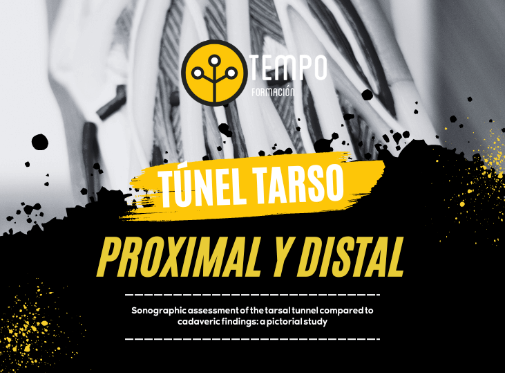 tunel-del-tarso-proximal-y-distal-ecografia-y-anatomia